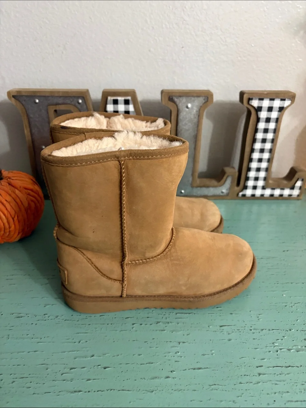 UGG cozy sheepskin